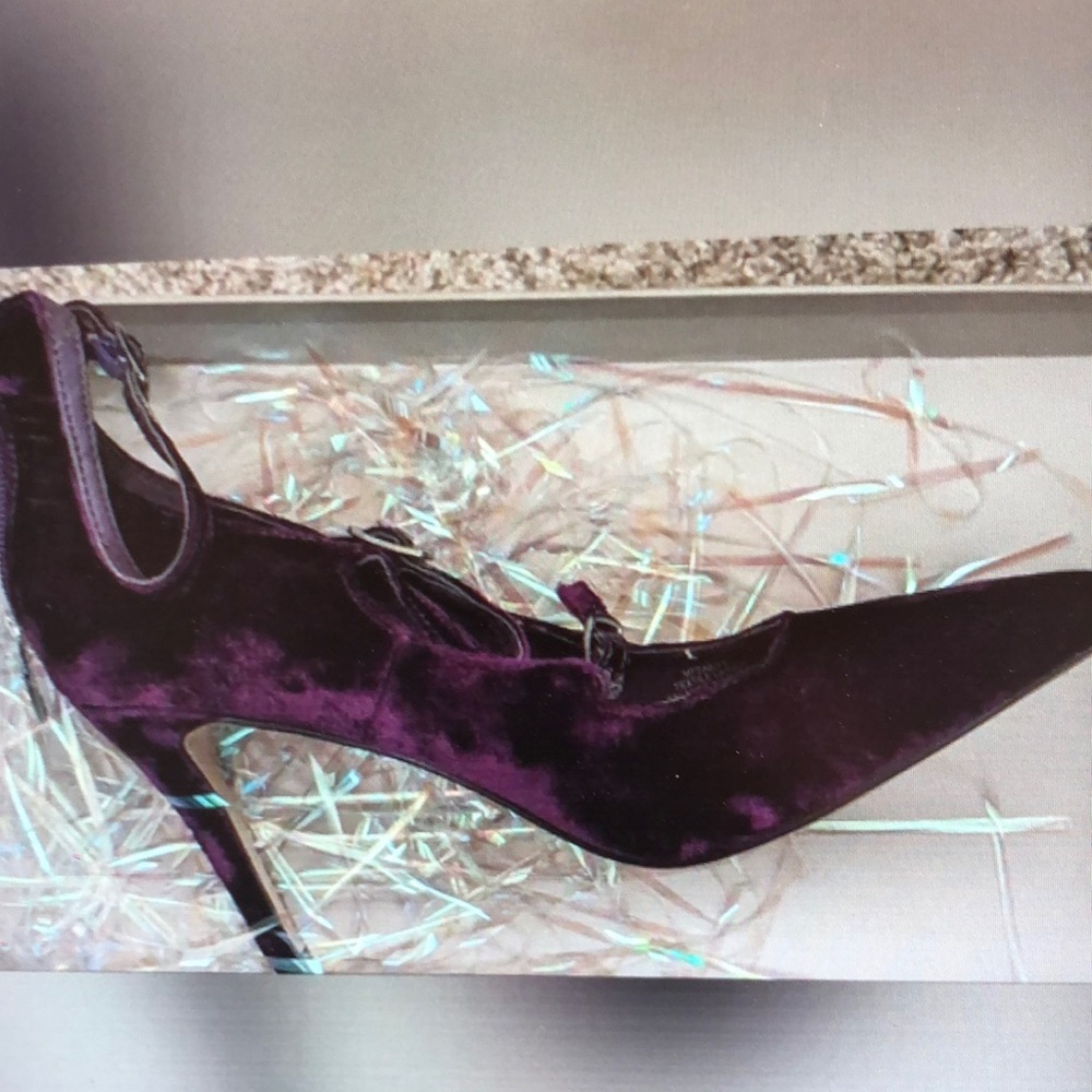 Elegant Purple Velvet Women's Shoe